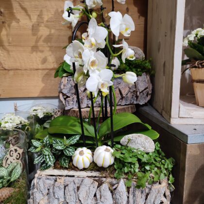 Fleurs Et Creation Produits 1762532459180 33