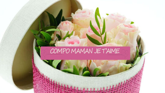 Fleurs Et Creation Fleurs Compo Maman Je T'aime 239