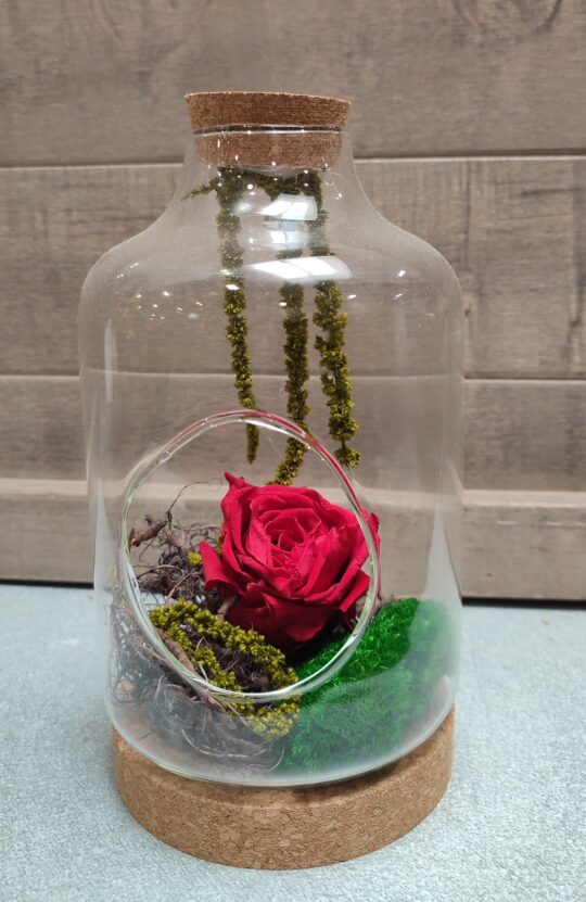 Fleurs Et Creation Fleurs 1000028712 251