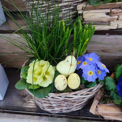 Fleurs Et Creation Uncategorized 1772266503481 146