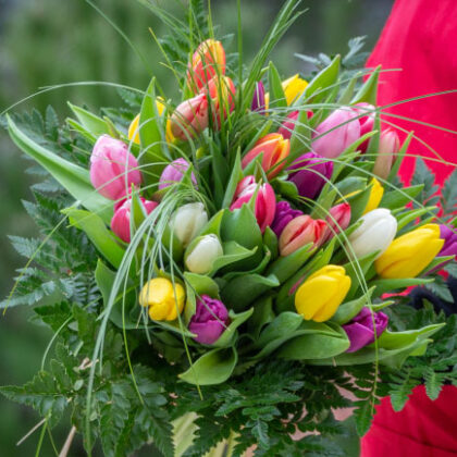 Fleurs Et Creation Produits Tulipe 35
