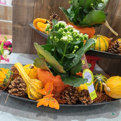 Fleurs Et Creation Fleurs IMG 20261002 115715 257